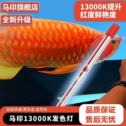 紅龍用馬印13000k燈怎么樣，紅龍用馬印13000k燈怎么樣馬印13000k燈有哪些型號(hào)可選