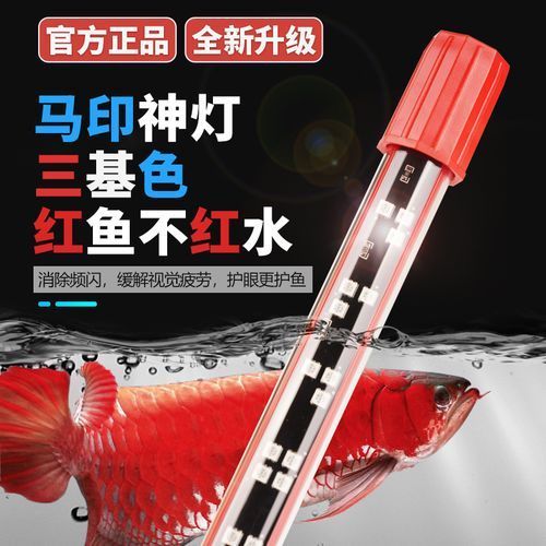 紅龍用馬印13000k燈怎么樣，紅龍用馬印13000k燈怎么樣馬印13000k燈有哪些型號可選