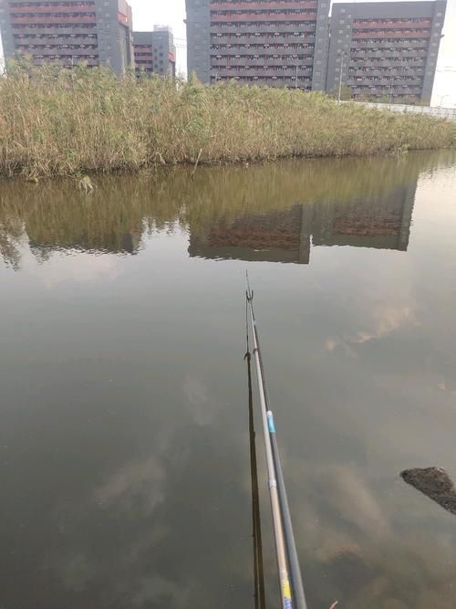 廣東觀魚釣場交通指南