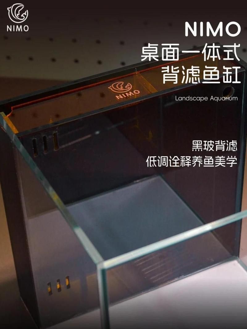 如何搭配背景色增強龍魚的觀賞性？，如何搭配背景色以極致增強龍魚觀賞性