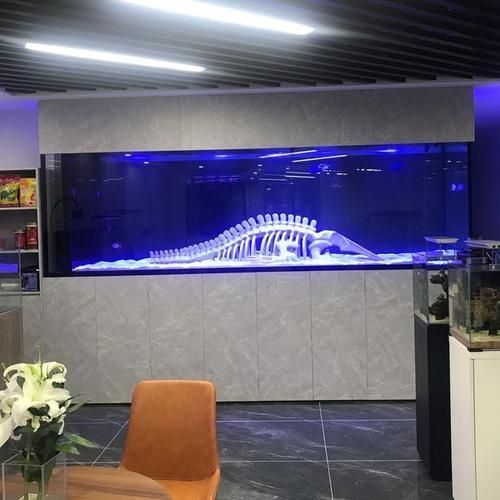 羅湖龍魚有哪些知名品牌，深圳羅湖龍魚品牌羅湖龍魚有哪些知名品牌羅湖龍魚品牌