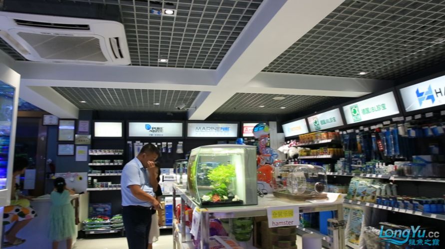 羅湖龍魚有哪些知名品牌，深圳羅湖龍魚品牌羅湖龍魚有哪些知名品牌羅湖龍魚品牌