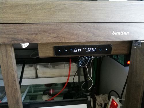 升溫治療龍魚寄生蟲的具體步驟，升溫治療龍魚寄生蟲