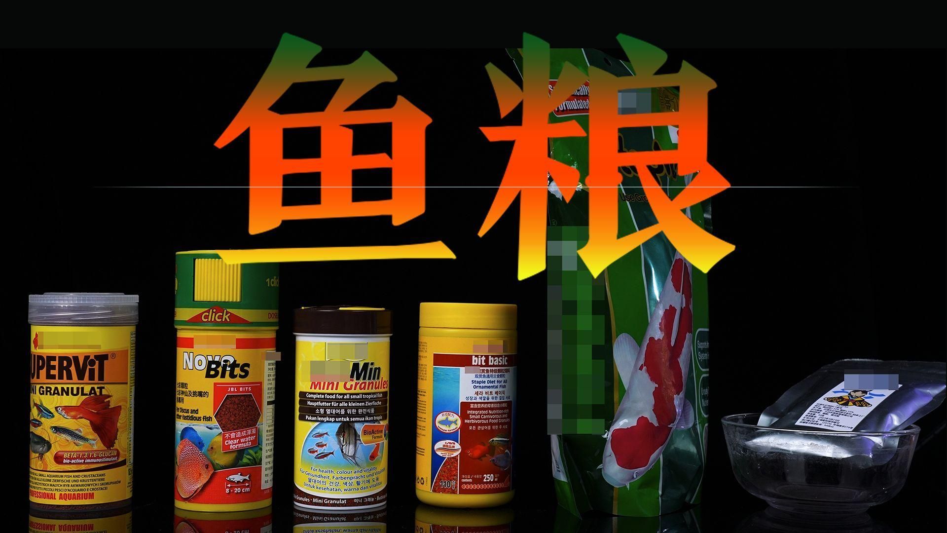 如何辨別魚飼料質量，如何辨別魚飼料的質量