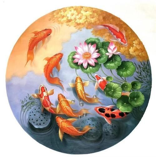 風水魚圖片大全大圖，風水魚圖片大全