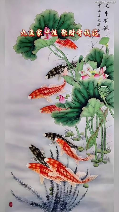 風水魚圖片大全大圖，風水魚圖片大全