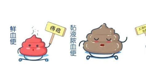 龍魚拉白便后如何恢復？，龍魚拉白便后如何恢復