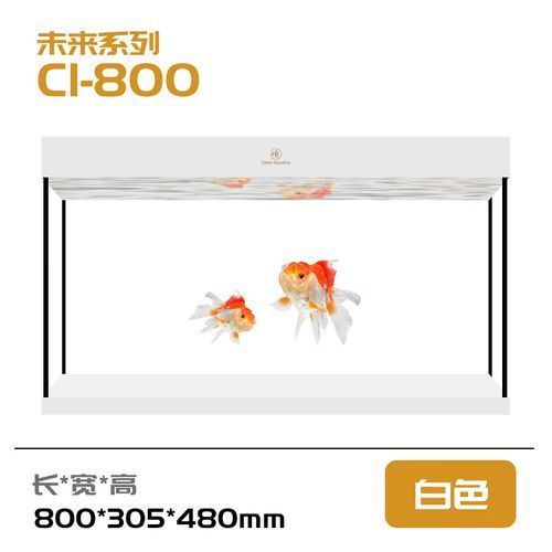如何選擇適合的可麗愛魚缸？，可麗愛魚缸選擇適合的可麗愛魚缸