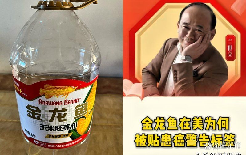 金龍魚哪些產品是安全的，金龍魚哪些產品安全