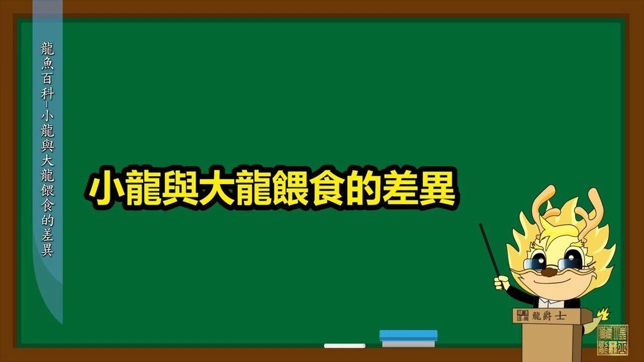 龍魚的幼期和成年期飲食有何不同？，龍魚幼期和成年期哪個更耐餓？