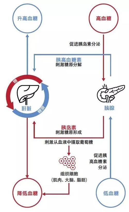 有哪些常見疾病及其防治方法，中國人群高發(fā)、具有明確防治路徑的五大類常見疾病