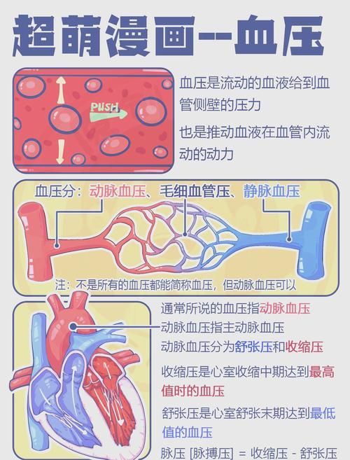 有哪些常見疾病及其防治方法，中國人群高發(fā)、具有明確防治路徑的五大類常見疾病