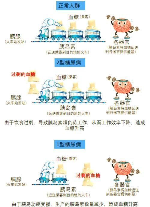 有哪些常見疾病及其防治方法，中國人群高發(fā)、具有明確防治路徑的五大類常見疾病