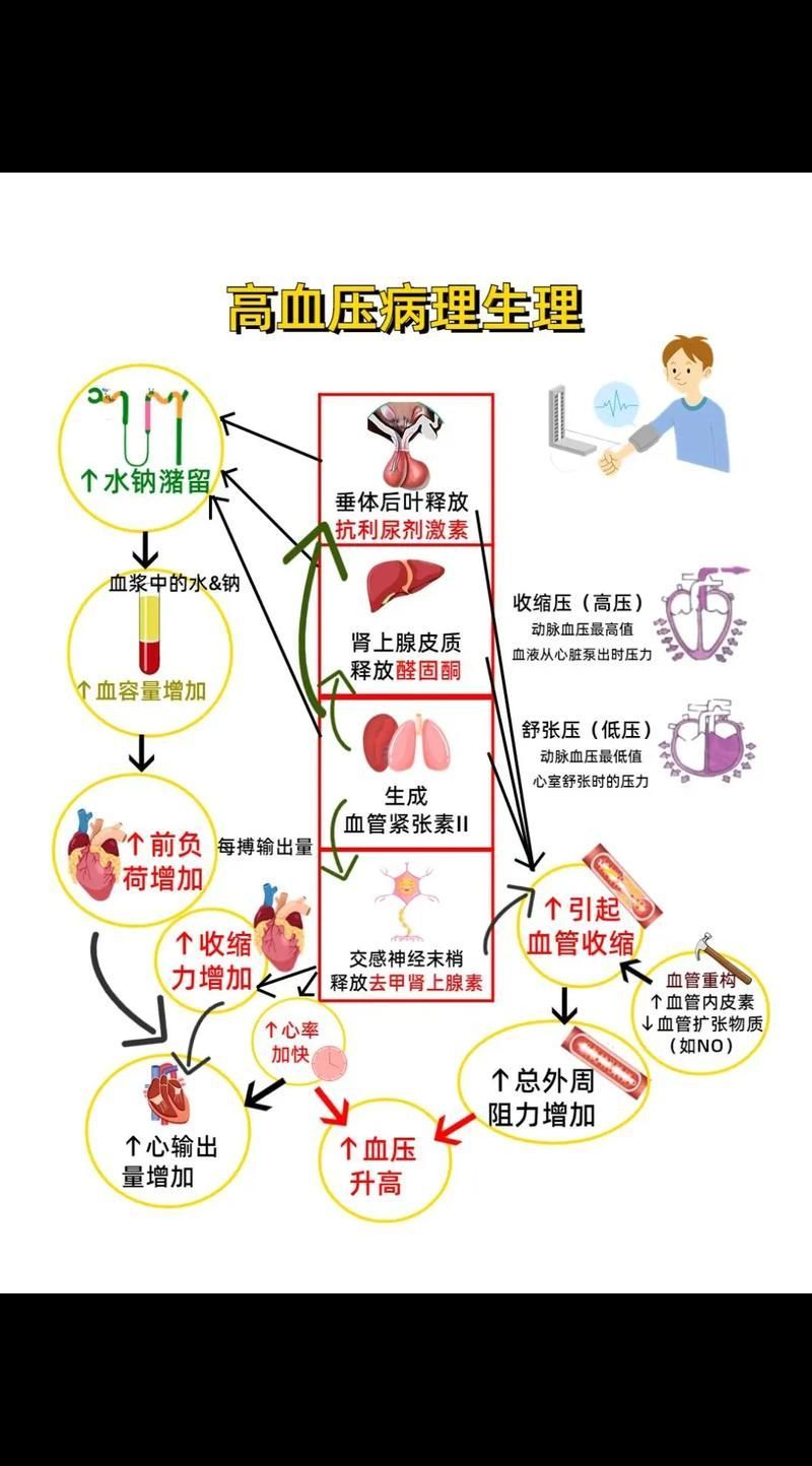 有哪些常見疾病及其防治方法，中國人群高發(fā)、具有明確防治路徑的五大類常見疾病