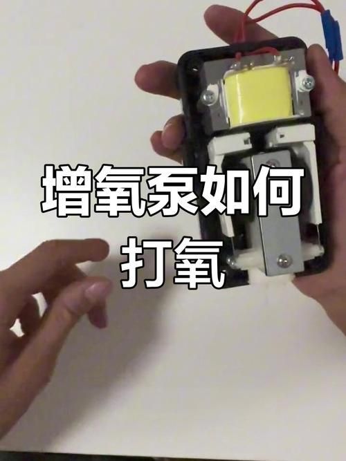有哪些魚缸增氧方法推薦，中小型魚缸增氧方式