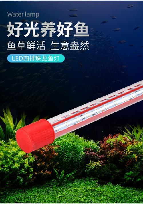 哪種類型的龍魚燈光效果最好？，哪種類型的龍魚燈光效果最好