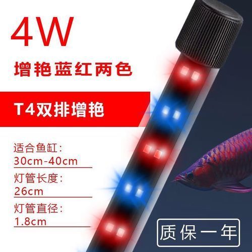 哪種類型的龍魚燈光效果最好？，哪種類型的龍魚燈光效果最好