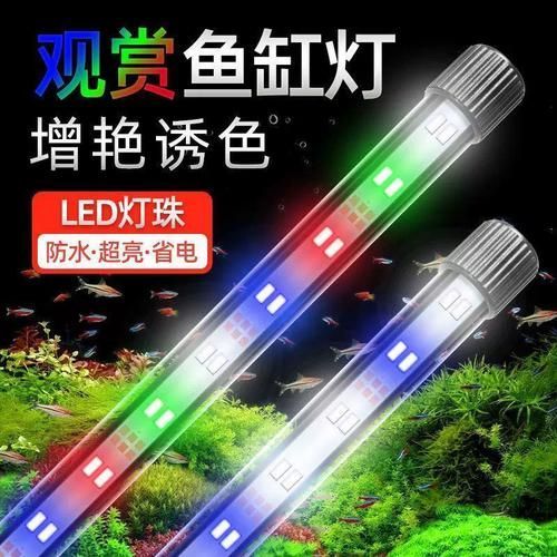 哪種類型的龍魚燈光效果最好？，哪種類型的龍魚燈光效果最好