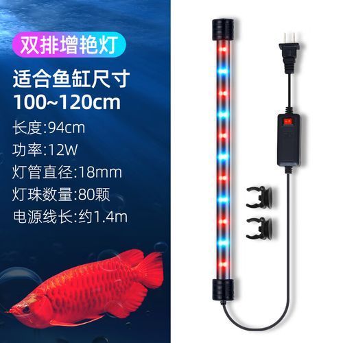 西龍品牌龍魚燈有哪些型號可選？，西龍品牌龍魚燈有哪些型號可選祥龍魚場水族館加盟流程