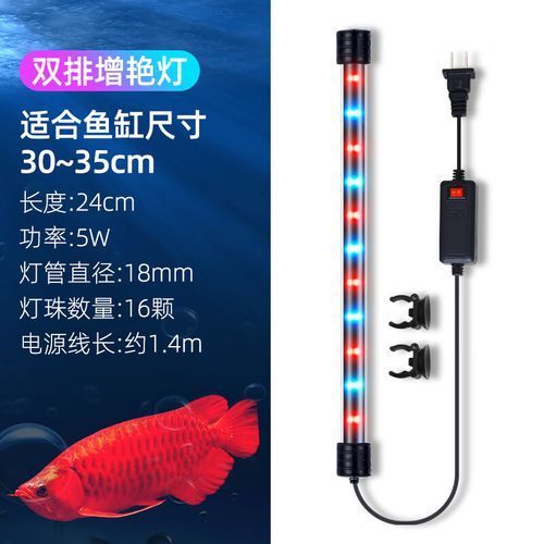 西龍品牌龍魚燈有哪些型號可選？，西龍品牌龍魚燈有哪些型號可選祥龍魚場水族館加盟流程