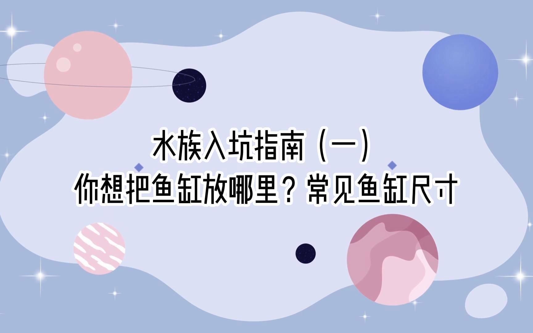 有哪些位置適合龍魚魚缸？，水族入坑指南(一)