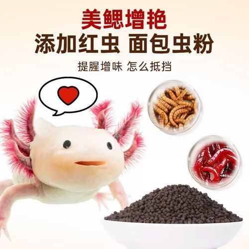 有哪些品牌推薦的六腳恐龍魚飼料？，六腳恐龍魚飼料品牌推薦