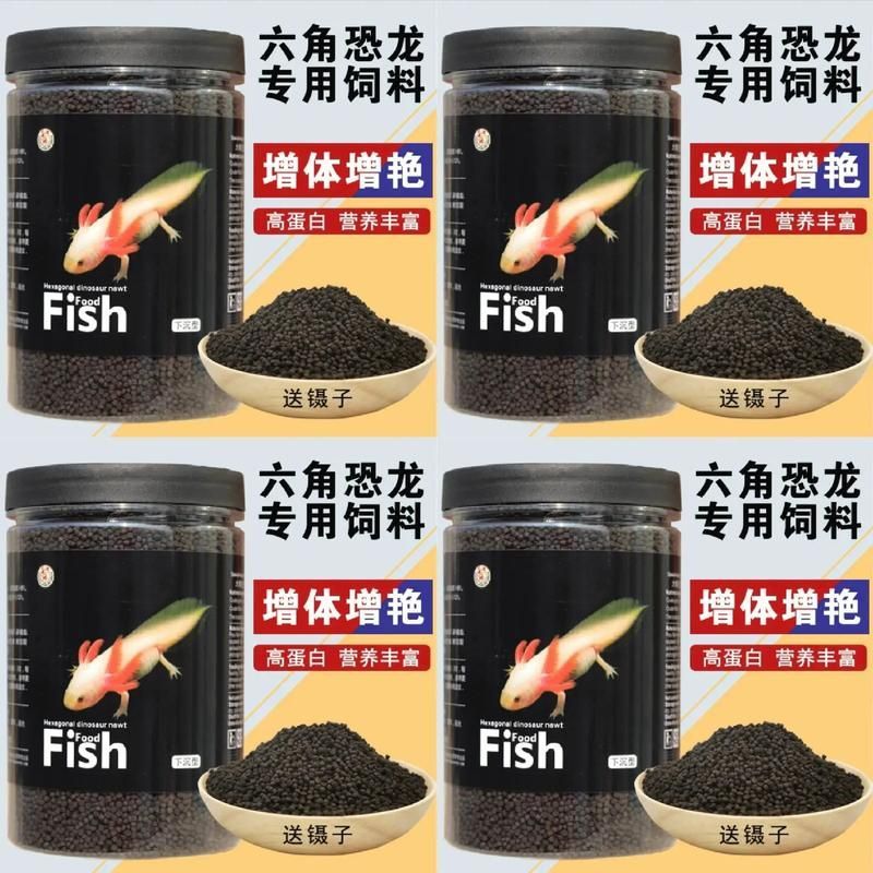 有哪些品牌推薦的六腳恐龍魚飼料？，六腳恐龍魚飼料品牌推薦