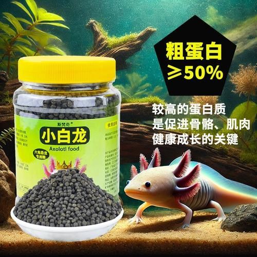 有哪些品牌推薦的六腳恐龍魚飼料？，六腳恐龍魚飼料品牌推薦