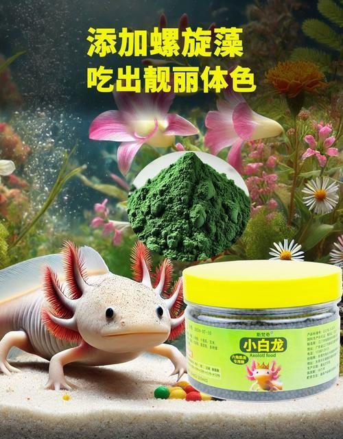 有哪些品牌推薦的六腳恐龍魚(yú)飼料？，六腳恐龍魚(yú)飼料品牌推薦