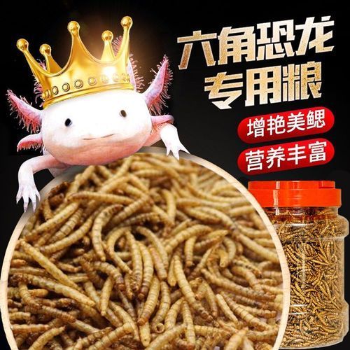 有哪些品牌推薦的六腳恐龍魚飼料？，六腳恐龍魚飼料品牌推薦