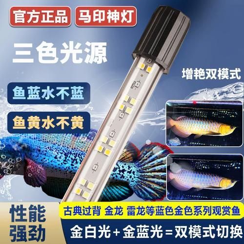 給我推薦幾款適合金龍魚的燈，金龍魚燈具選購指南