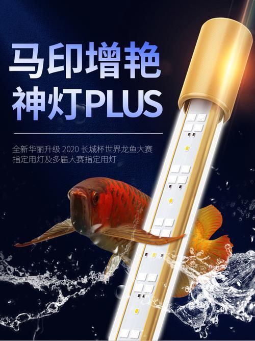 給我推薦幾款適合金龍魚的燈，金龍魚燈具選購指南