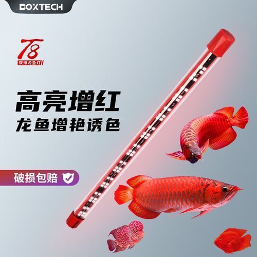 給我推薦幾款適合金龍魚的燈，金龍魚燈具選購指南