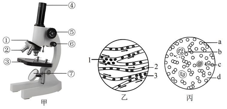 如何預(yù)防魚尾充血復(fù)發(fā)，如何預(yù)防魚尾充血