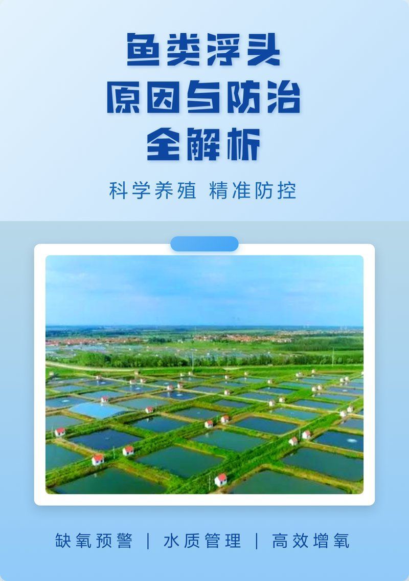魚浮頭會持續多久，魚浮頭時如何快速判斷輕重并采取對應措施？