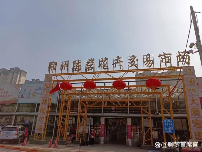 鄭州龍魚市場在哪里可以買到，鄭州哪里可以買到龍魚