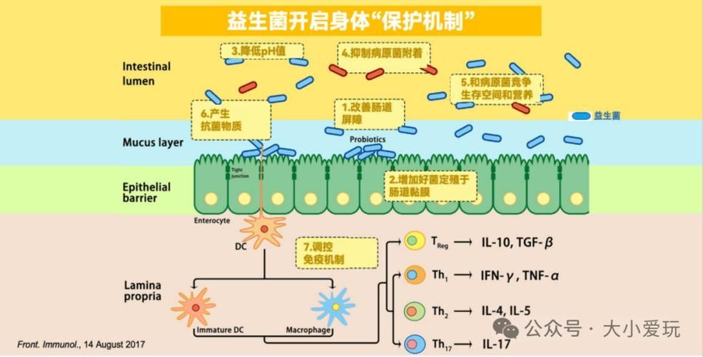 有哪些天然方法可以預(yù)防魚(yú)紅點(diǎn)，天然方法可以預(yù)防魚(yú)紅點(diǎn)
