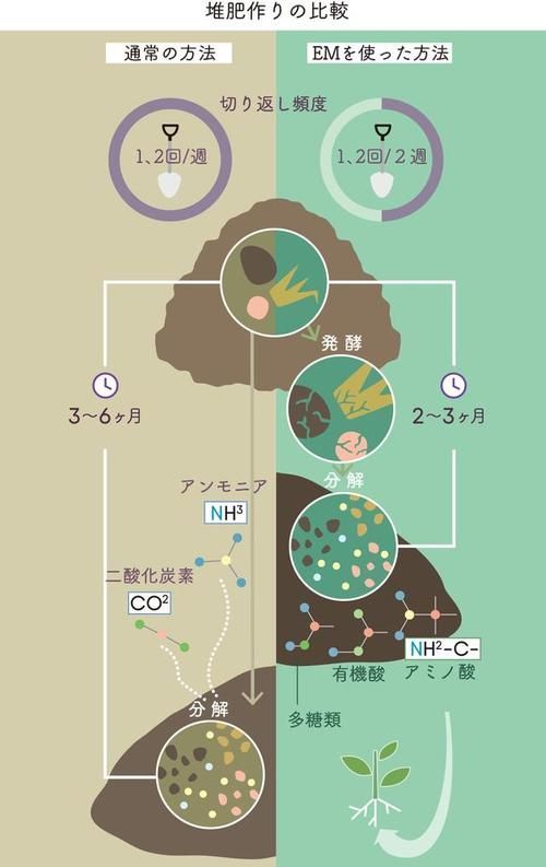 有哪些天然方法可以預(yù)防魚(yú)紅點(diǎn)，天然方法可以預(yù)防魚(yú)紅點(diǎn)