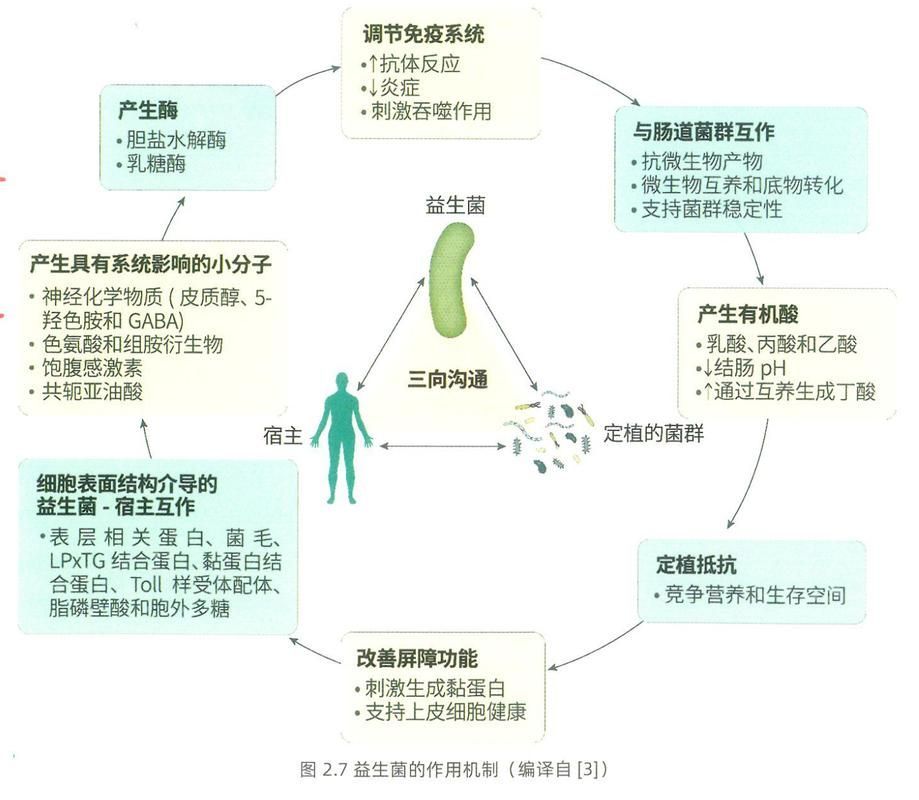 有哪些天然方法可以預(yù)防魚(yú)紅點(diǎn)，天然方法可以預(yù)防魚(yú)紅點(diǎn)