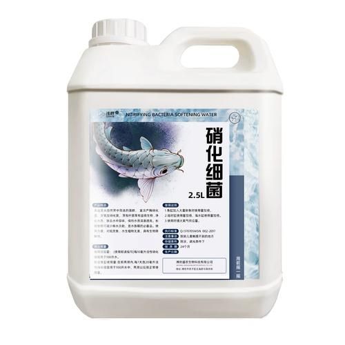 哪個品牌的龍魚1號口碑最好，哪個品牌的龍魚1號口碑最好傲深龍魚1號口碑最好