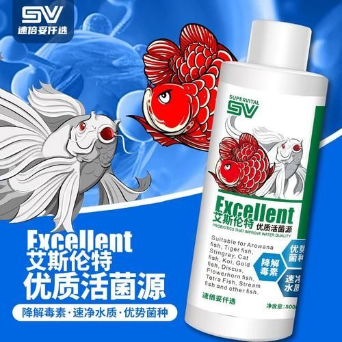 哪個品牌的龍魚1號口碑最好，哪個品牌的龍魚1號口碑最好傲深龍魚1號口碑最好
