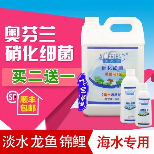 哪個品牌的龍魚1號口碑最好，哪個品牌的龍魚1號口碑最好傲深龍魚1號口碑最好