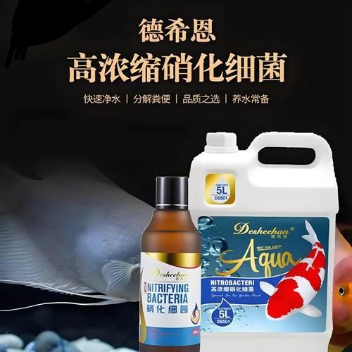 哪個品牌的龍魚1號口碑最好，哪個品牌的龍魚1號口碑最好傲深龍魚1號口碑最好