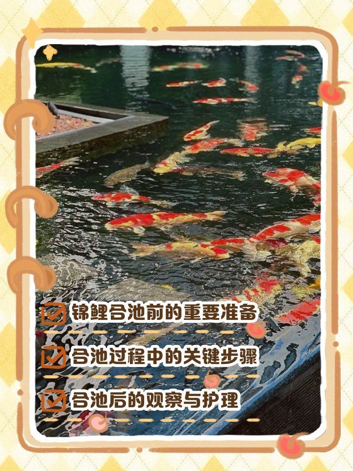 如何預防魚交叉感染的發生