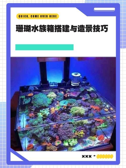 泗水龍魚的養殖技術如何？，泗水龍魚養殖技術