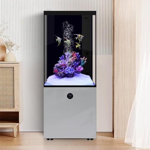 有哪些品牌的大型水族箱推薦，大型水族箱品牌推薦，適合家庭客廳使用