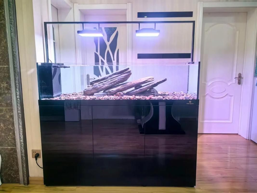 有哪些品牌的大型水族箱推薦，大型水族箱品牌推薦，適合家庭客廳使用