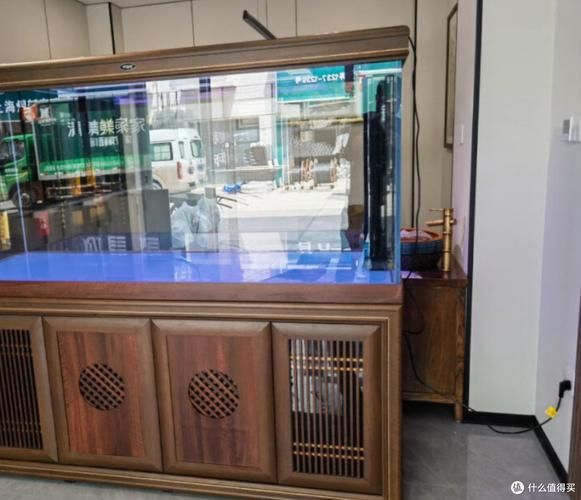 有哪些品牌的大型水族箱推薦，大型水族箱品牌推薦，適合家庭客廳使用