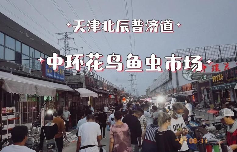 天津龍魚的市場需求如何，天津龍魚市場的關鍵信息