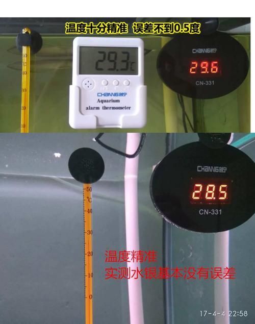 龍魚趴缸最簡(jiǎn)單三個(gè)步驟，關(guān)于龍魚趴缸的一些建議